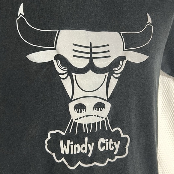 Chicago Bulls NBA Hardwood Classics Tshirt - Picture 3 of 6